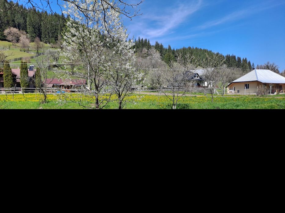 Proprietar vand teren la munte
