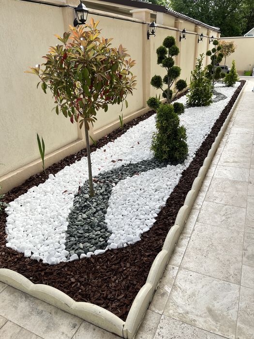 Gazon samanta rulou irigare lumini Amenajari peisagistica