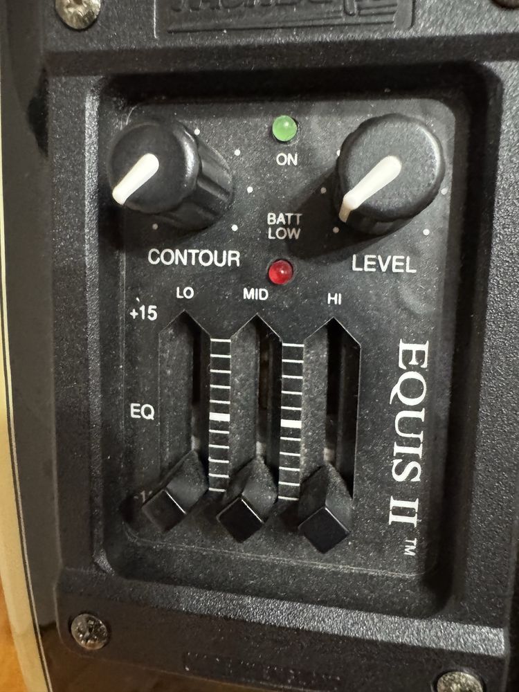 Washburn EA20 Festival series