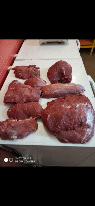 Мясо мякоть транш