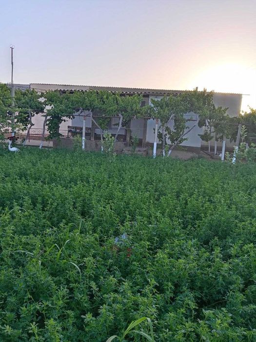 Zo‘r imkoniyat! tayyor 2 xonali uy va keng yer maydoni sotuvda.