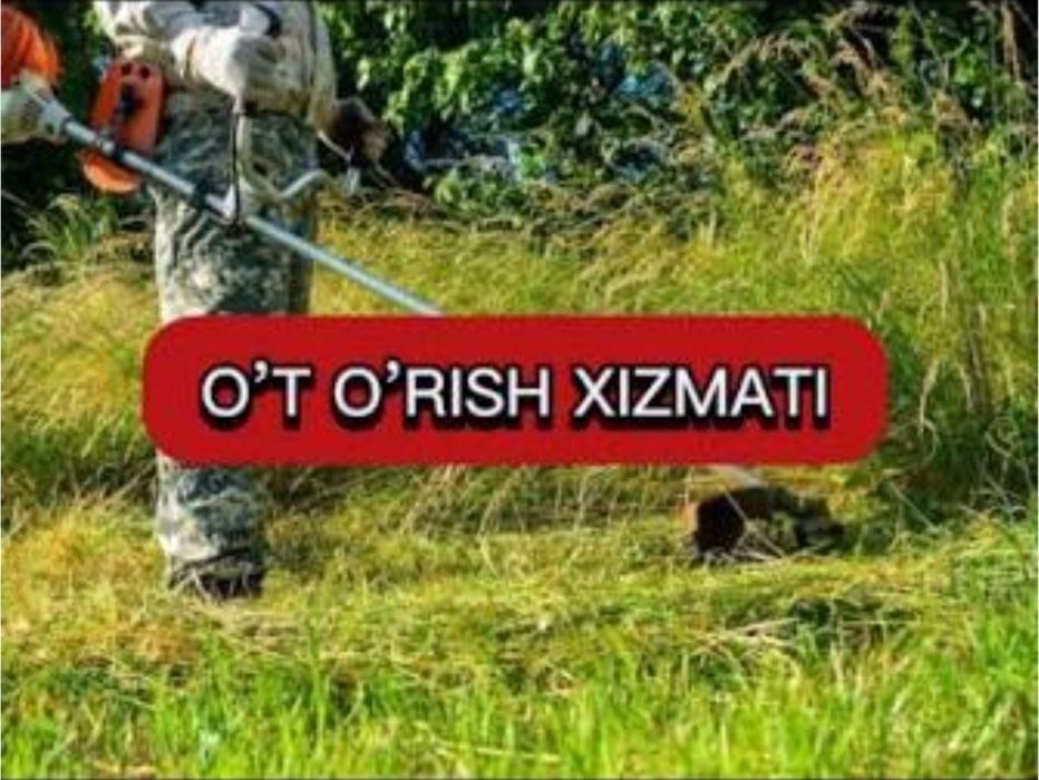 Oʻt oʻrish Daraxt kesish maydalash Qoʻy junini olish.