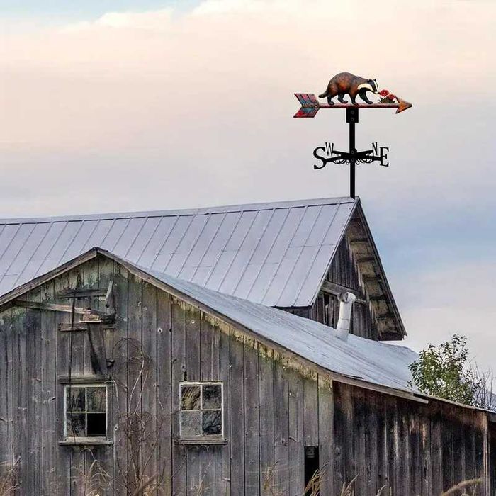 Ветропоказател , ветропоказатели - видове