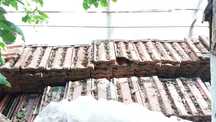 Tigla ceramica de Buzau