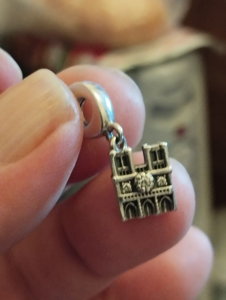 Charm din argint Pandora original Catedrala Notre-Dame