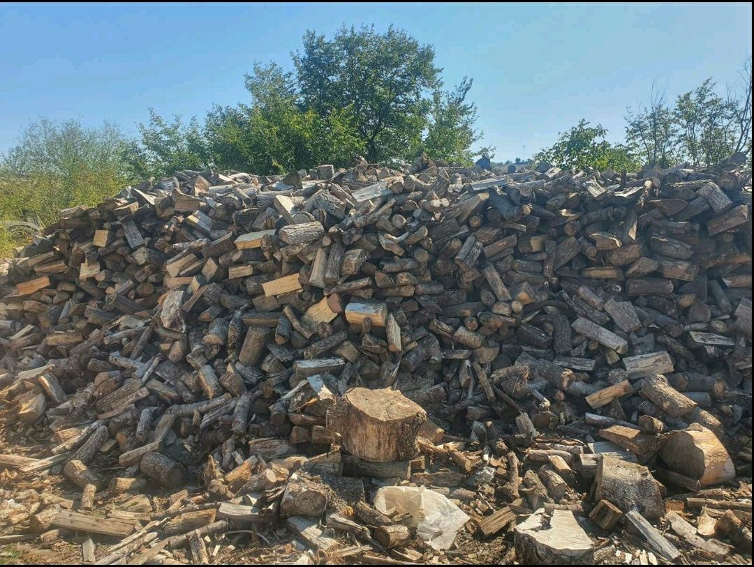 Дърва за Огрев 2024
