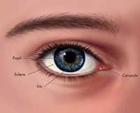 для  остроты зрения,профилактика катаракты