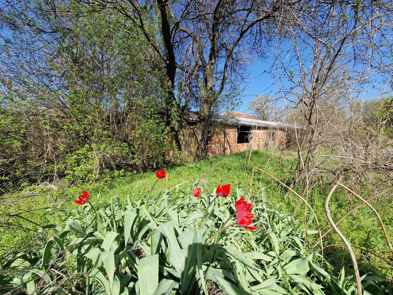 Продава се Къща в Велико Търново, Акация - 82 кв.м за 62 €/кв.м - Снимка #10