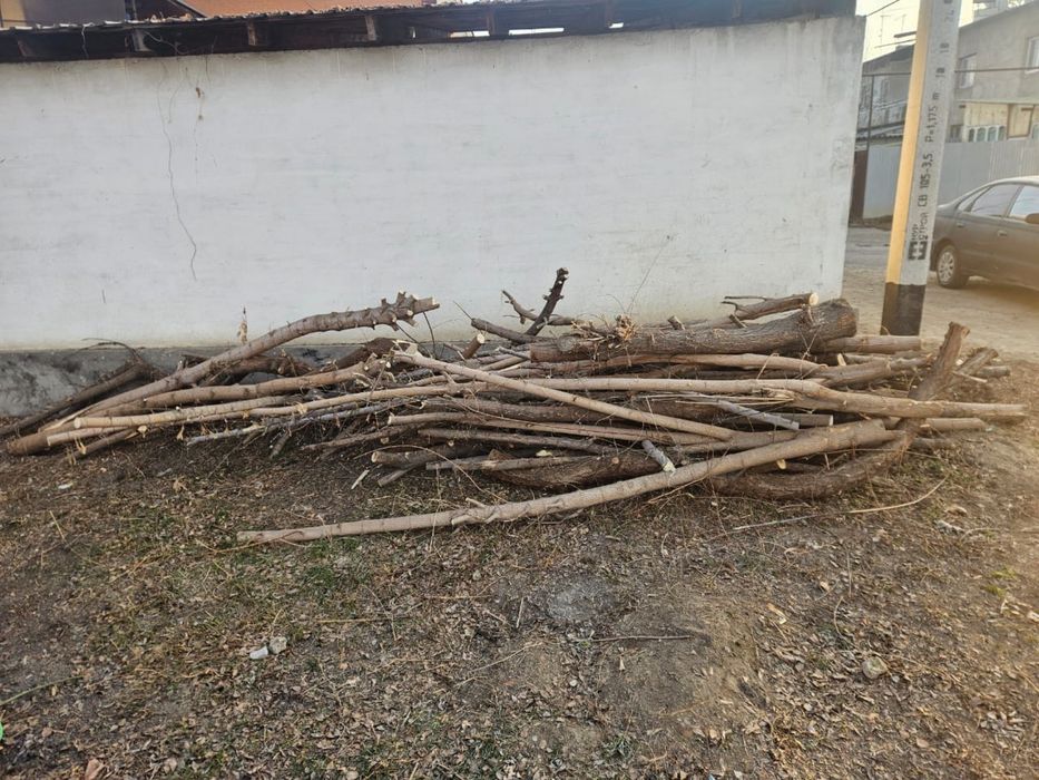 Отын ағаш дрова  ветки