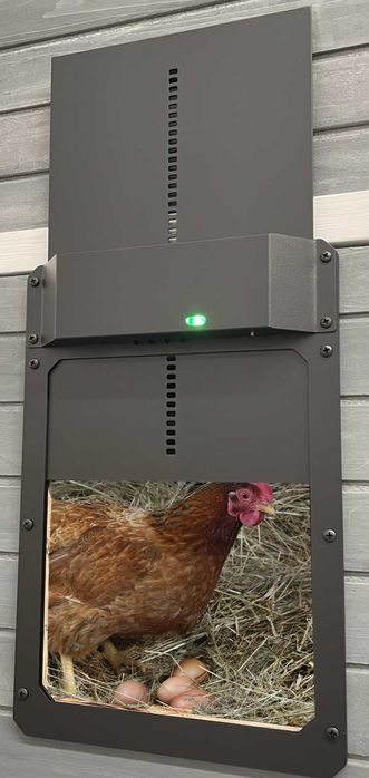 Автоматична алуминиева врата за кокошарник DOO-2 #379