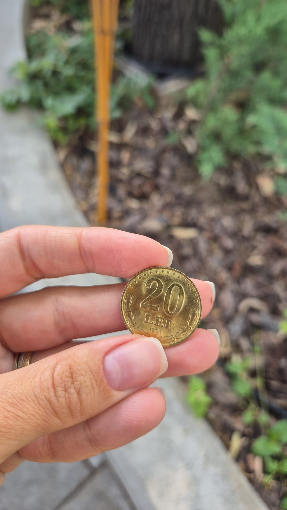 Moneda 20 lei Stefan cel Mare 1991