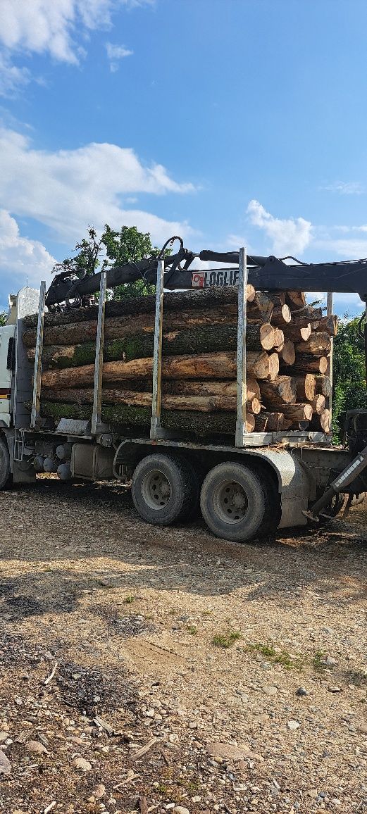 Lemn de foc la domiciliu