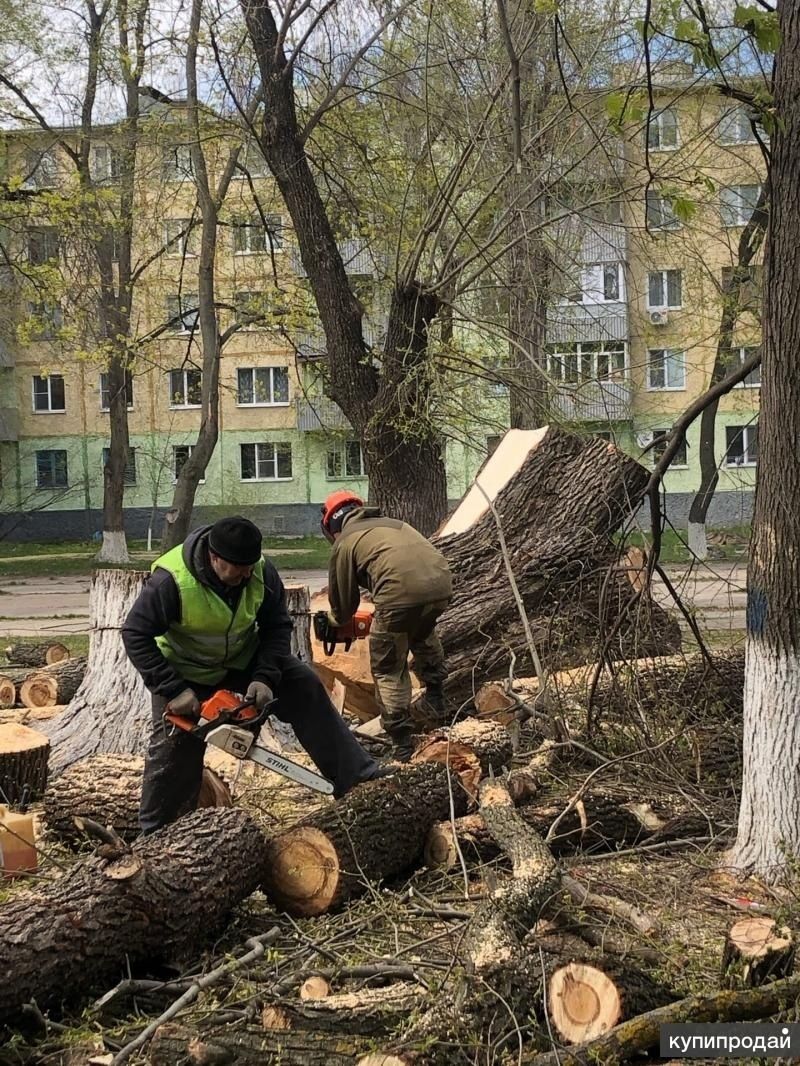 Спил деревьев любой сложности