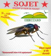 Insecticid muste Sojet