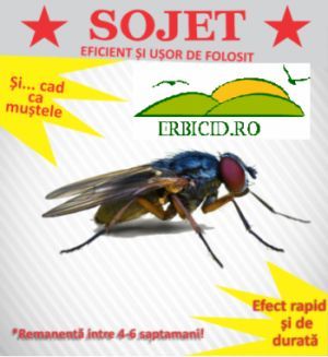 Insecticid muste Sojet