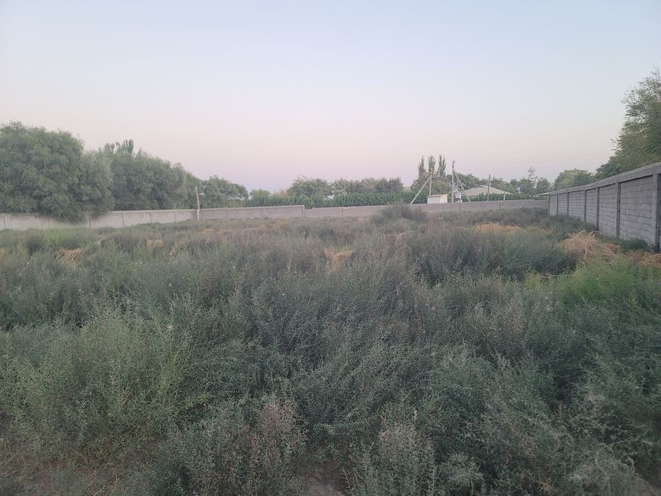 Qamashi tumani, Galaba qishlogida joylashgan 57 sotixli yer maydon