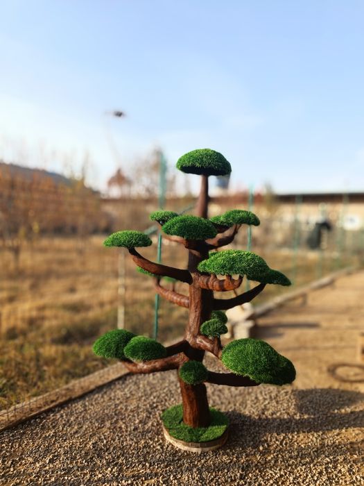 Декоративные растения, искусственные деревья!
Самый большой вы