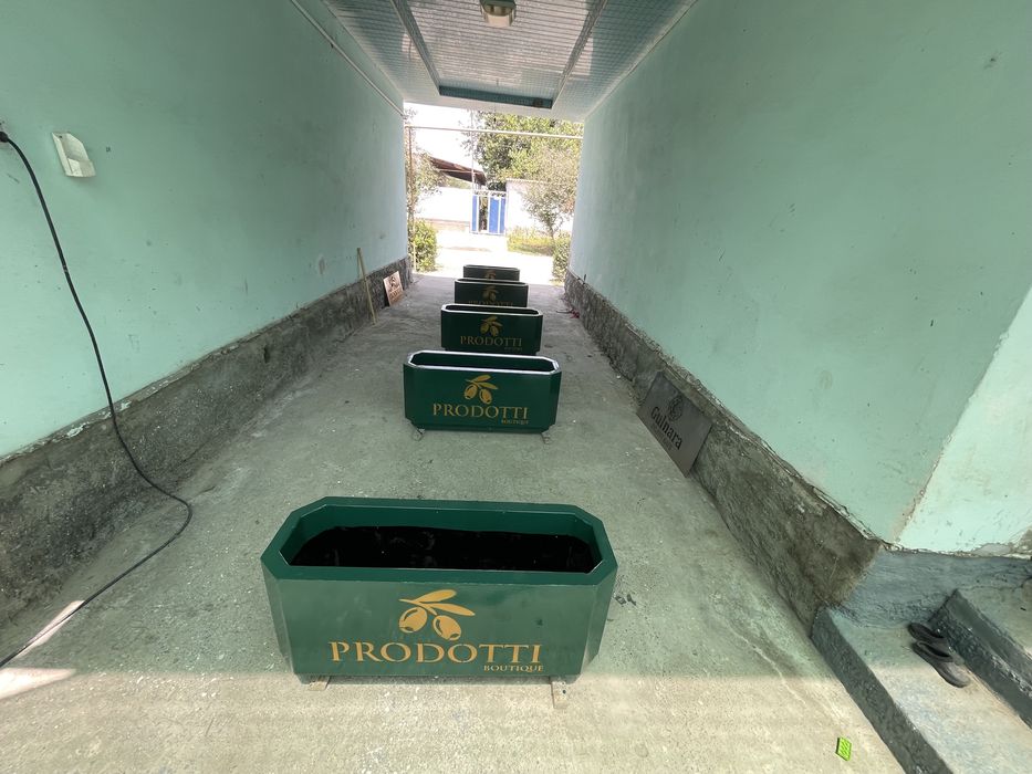 Кашпо гултуваклар