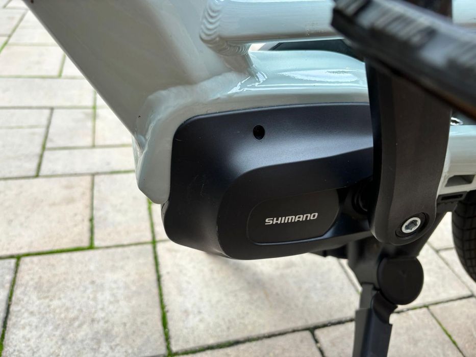 Bicicleta gazelle bloom C310