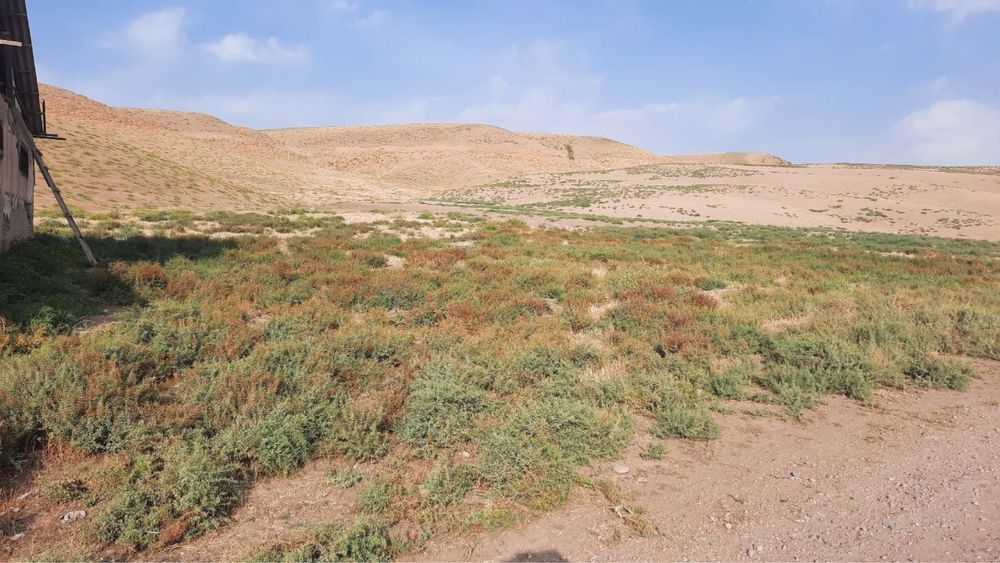 Продается большая ферма