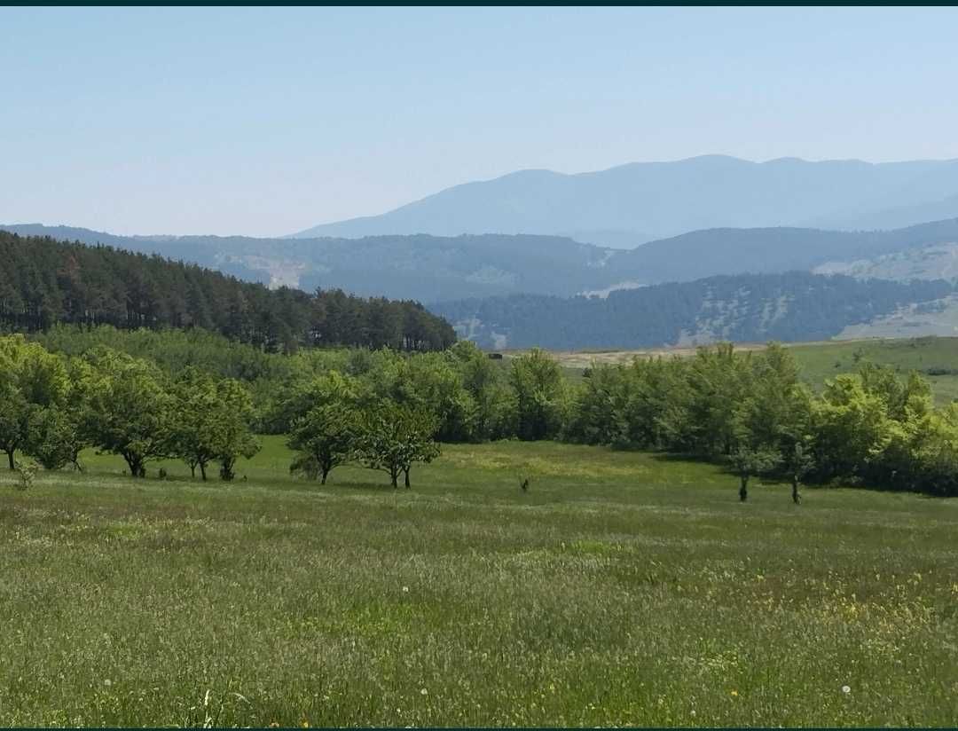 Продава се Земеделски имот в Велинград -  кв.м за 20 €/дка - Снимка #1