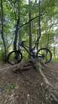 Bicicleta DownHill Canyon Sender CF 9.0, Cadru Marimea XL, FULL FOX