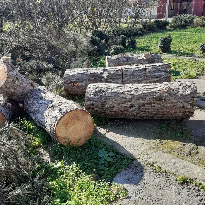 Дървен материал от Бор