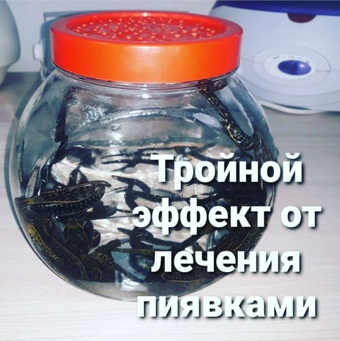 Пиявки 1000 тенге  медицинские