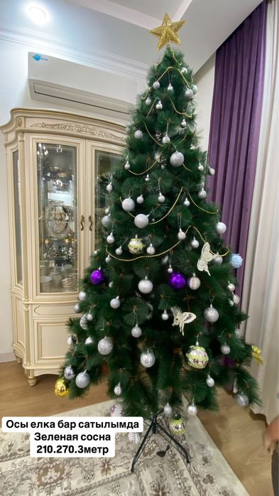 Елки Актау 3метра только