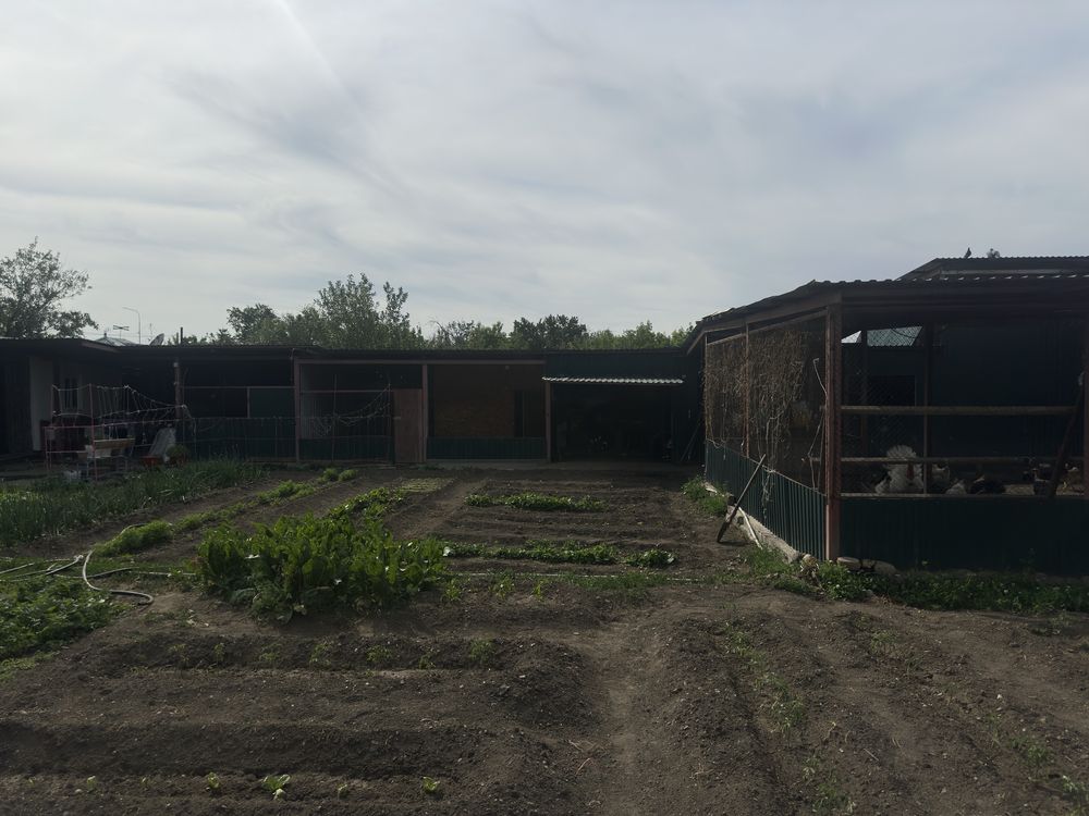Срочно Продам дом !