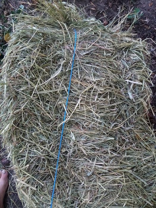 Vând baloti de fân și paie