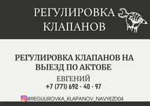 Регулировка клапанов ВАЗ Мастер Женя заречный,на выезд 8 клапанные