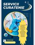 Curatenie domiciliu