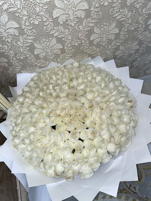 221 роза продается