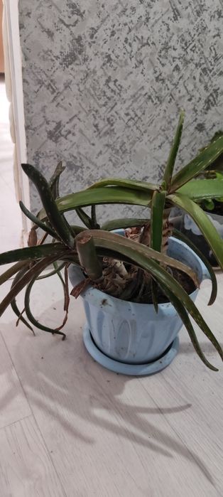 Продам или обменяю