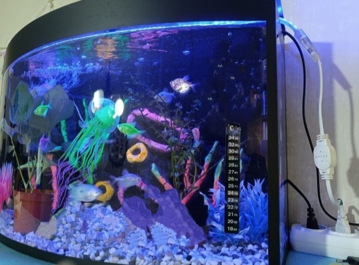 Продам готовый аквариум на 50 литров