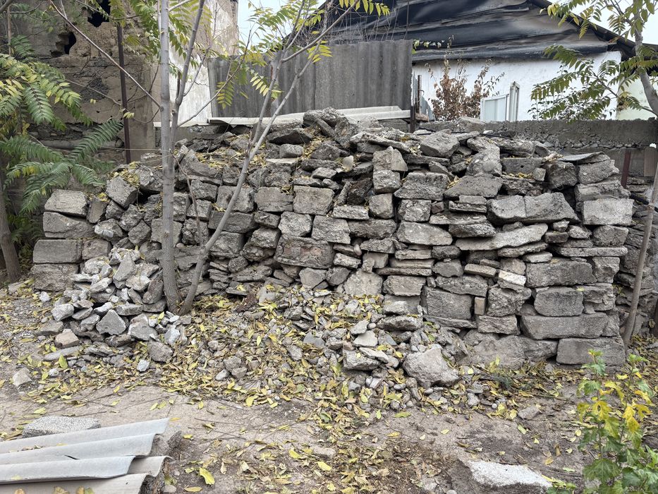 Блужник советский мощный