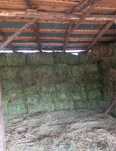 Vând 200 de baloți din lucernă calitativă