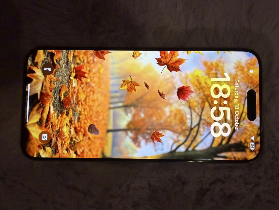 iPhone 15 Pro Max 256GB – Impecabil, ca nou + husă Pitaka cadou