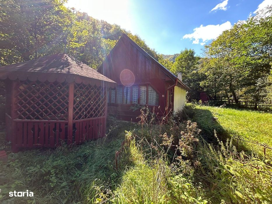 Cabana de vanzare, Valea Manastirii - Ramet
