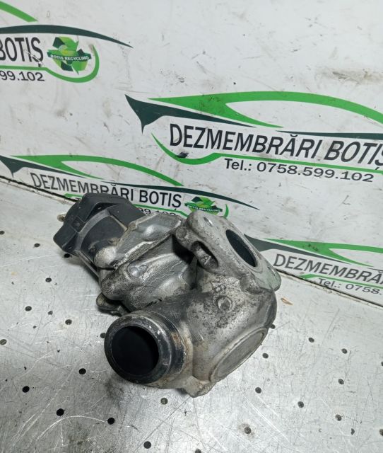 EGR electric Ford Focus a 2-a generatie