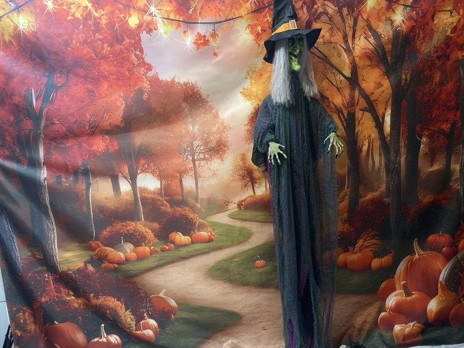 Sedinta foto de halloween sau de craciun