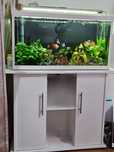 Vand Acvariu 112 l + dulap si accesorii