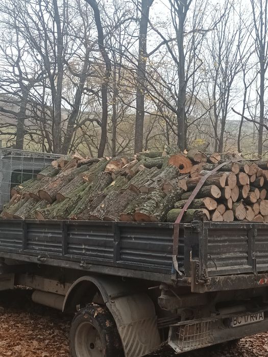 Lemne foc esentă tare sau moale