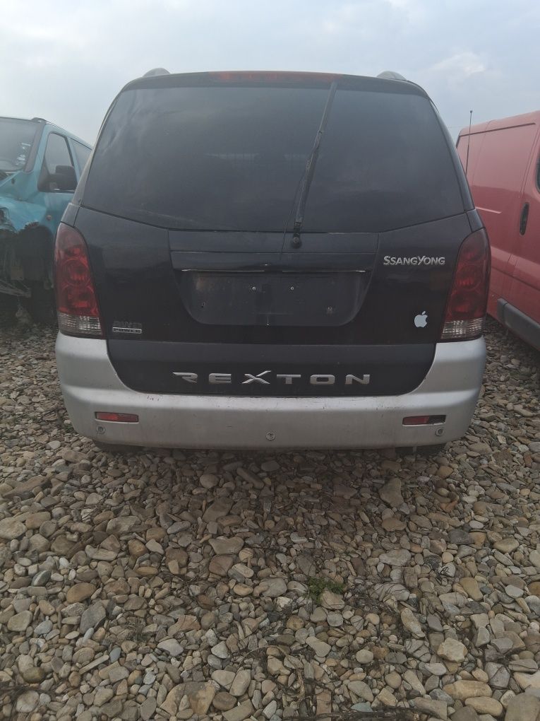 Rexton sanghiong pentru dezmembrat