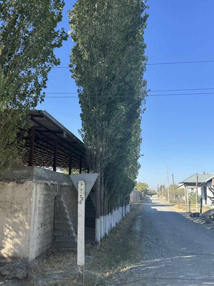 Teraklar srochna sotiladi