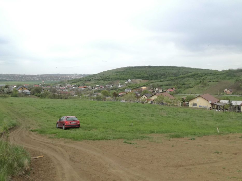 Loturi de casa in Uricani langa padure 55 euro/mp