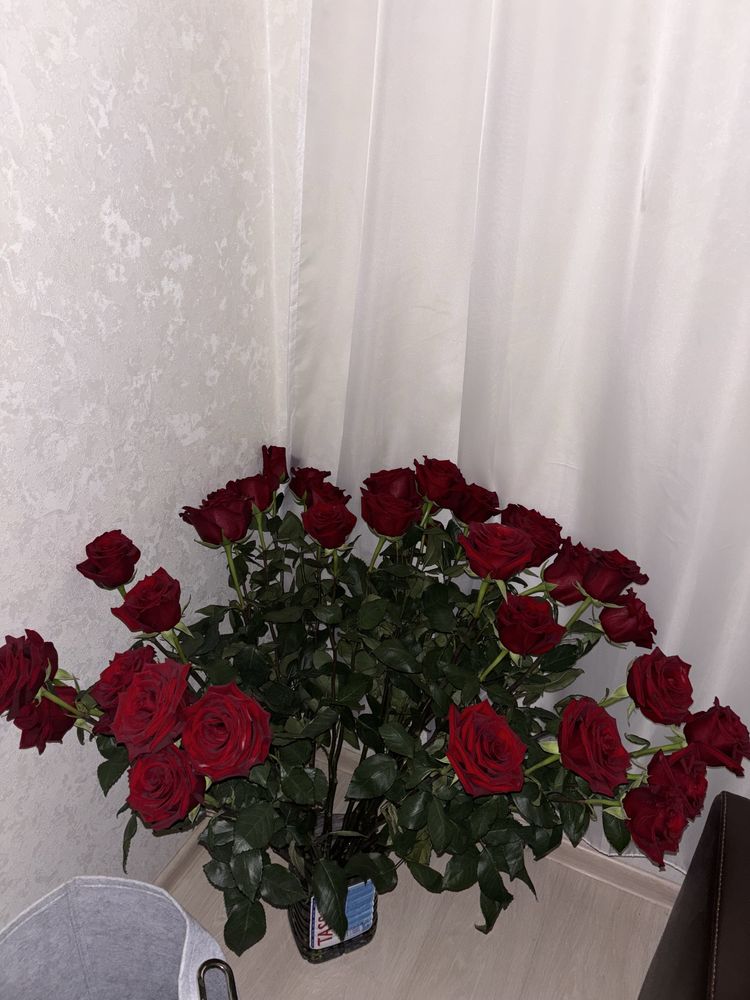 Продам 100 роз 1 метр , 2 дня стоят