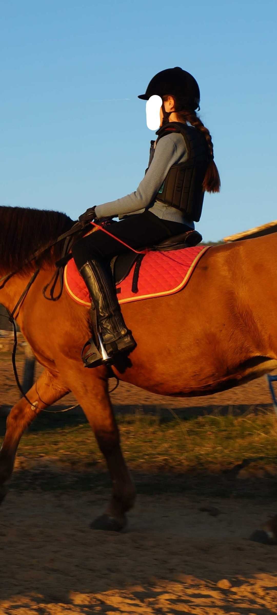 Предпазна жилетка за конна езда