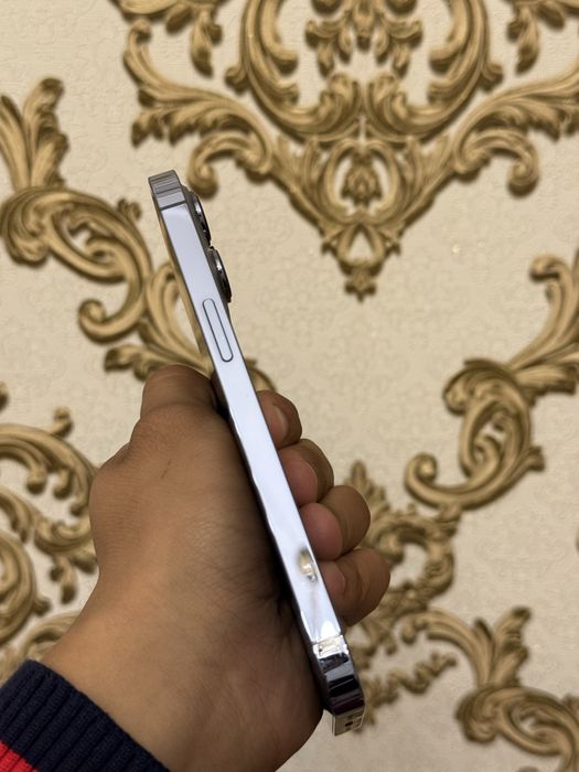 iPhone 13 Pro